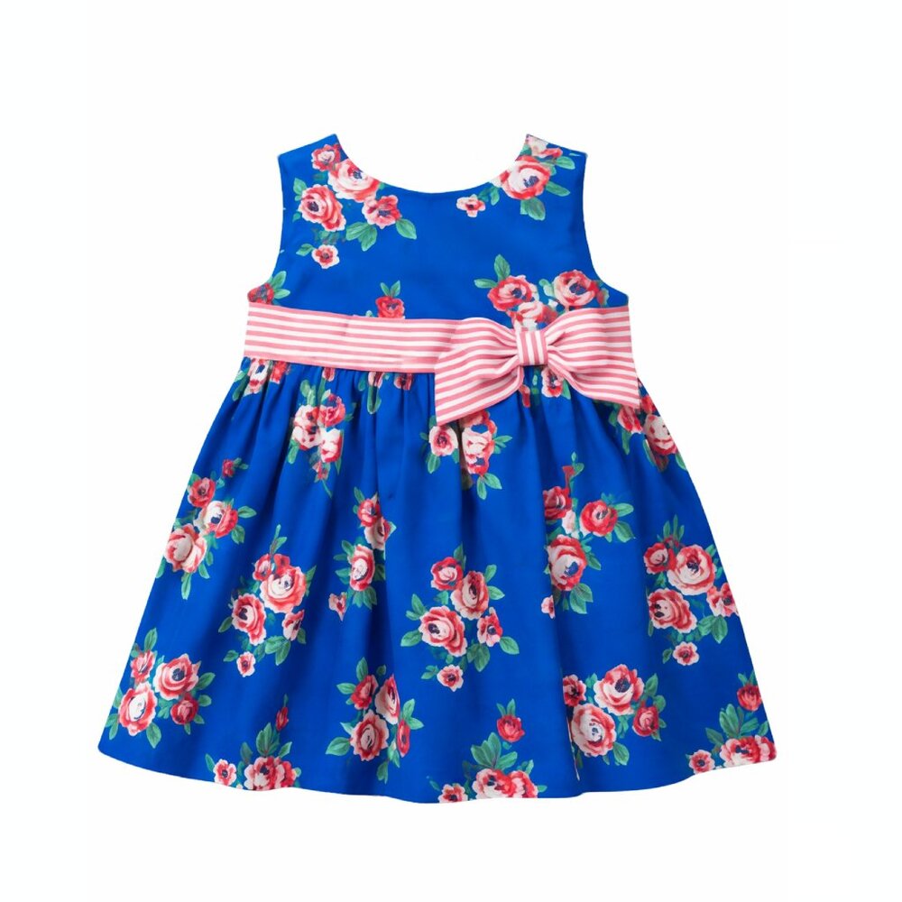 Gymboree Baby Girls Gazebo Party Cotton Floral Dress 18-24 Mo Blue Pink Rose